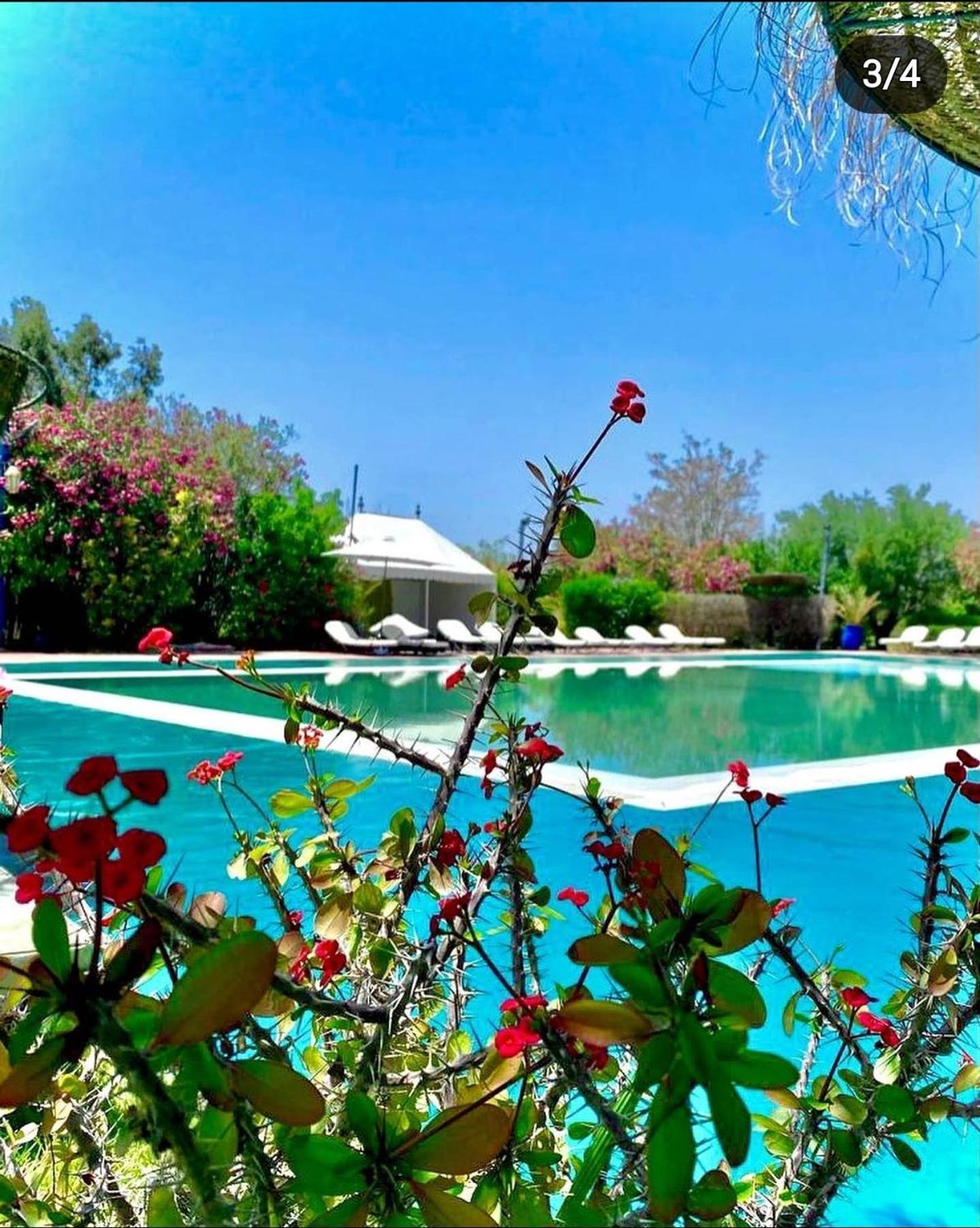 ホテル Les Jardins D Isis マラケシュ エクステリア 写真